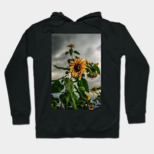 Sunflowers and storms Hoodie